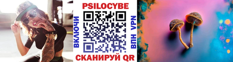 Псилоцибиновые грибы Psilocybine cubensis  Кудымкар 
