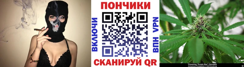 дарнет шоп  гидра зеркало  Каннабис SATIVA & INDICA  Кудымкар 